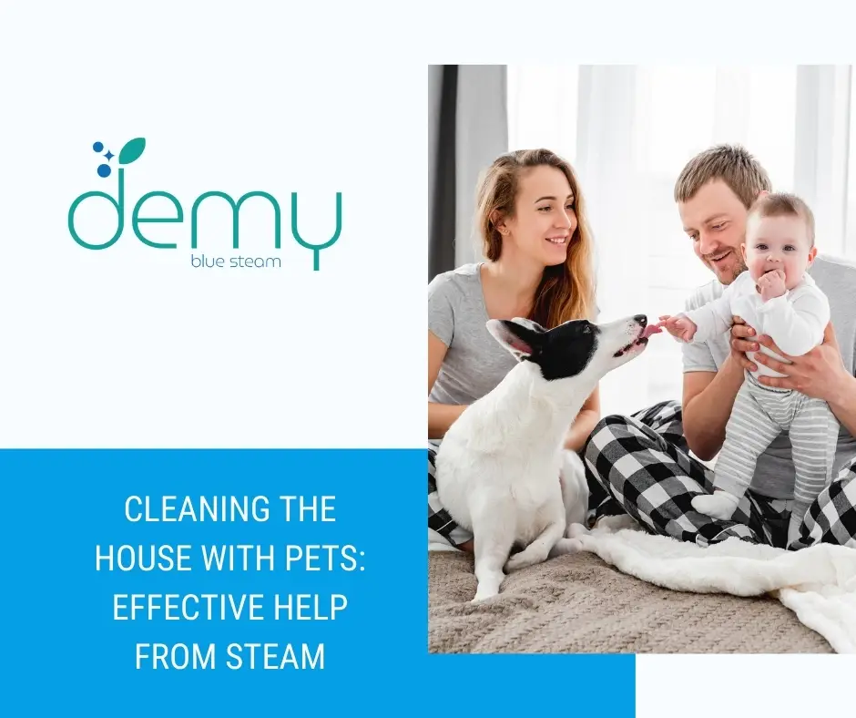 Cleaning_the_house_with_pets_effective_help_from_stea,