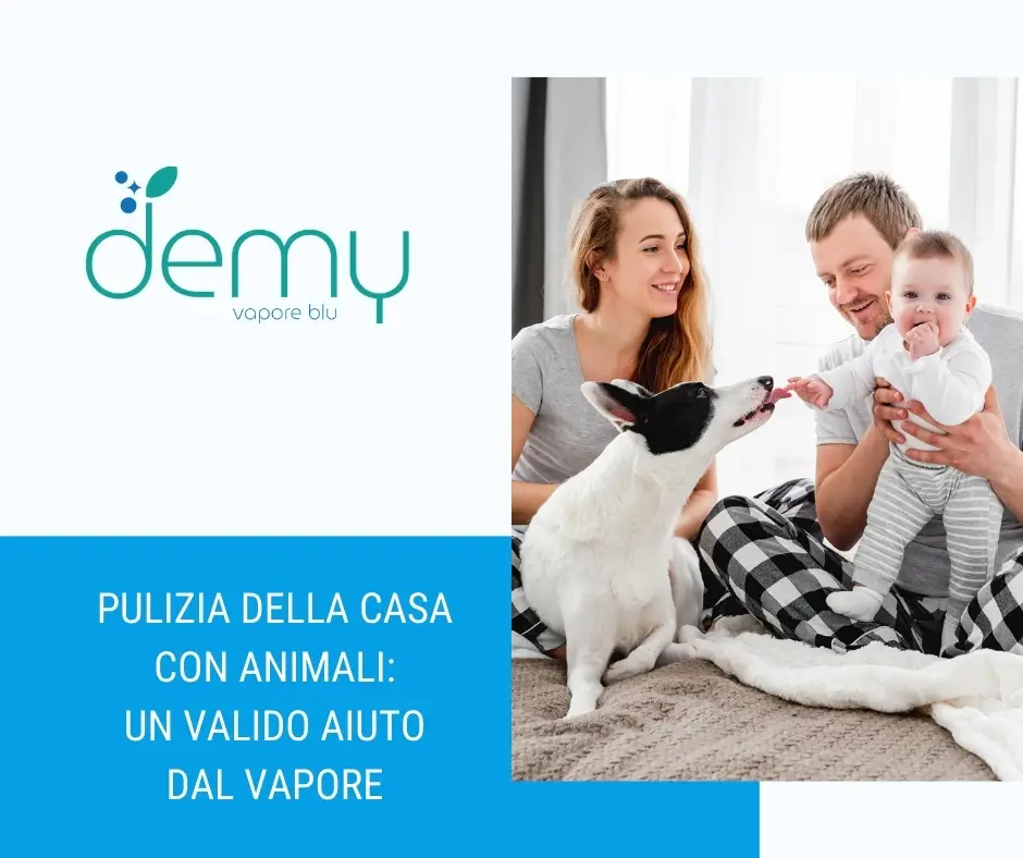 Pulizia_della_casa_con_animali_un_valido_aiuto_dal_vapore